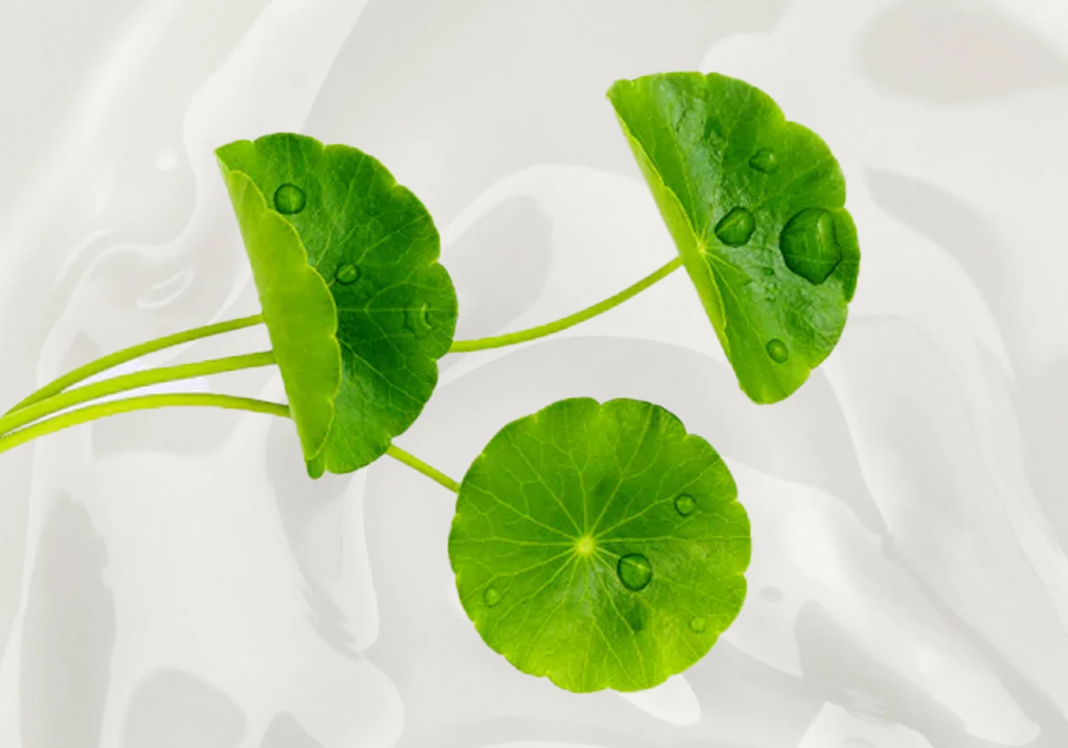 Cica: The Secret to a Stronger Skin Barrier